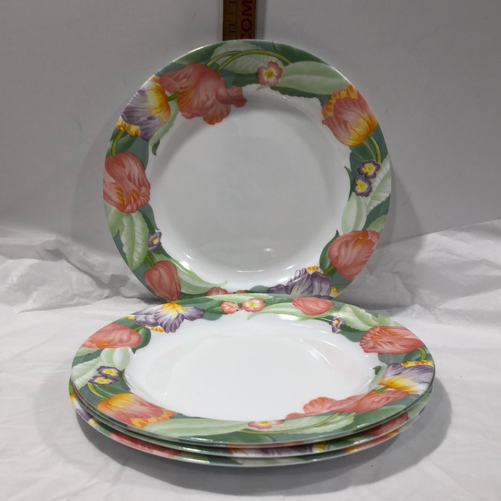 Arcopal  Fantasia Dinner plates